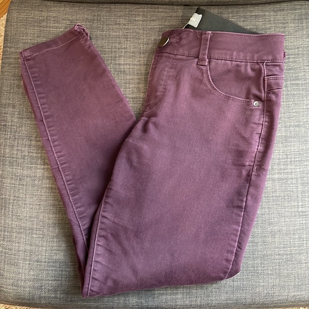 Wit & Wisdom Ankle Skinny Pants